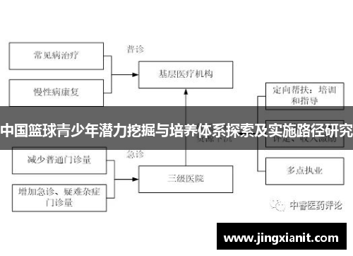 中国篮球青少年潜力挖掘与培养体系探索及实施路径研究